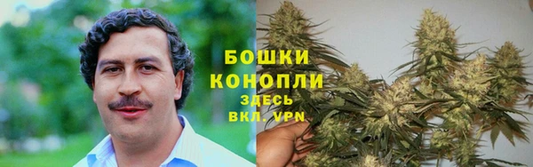 гашик Нестеровская