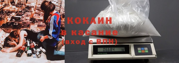 сатива Калининец