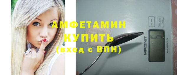 сатива Калининец