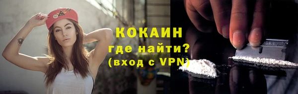 сатива Калининец