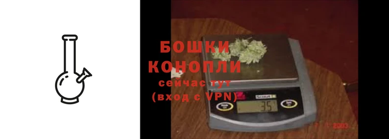 гашик Нестеровская