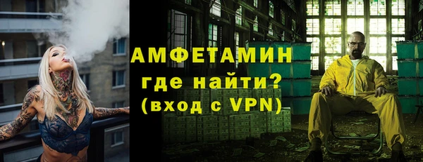 сатива Калининец