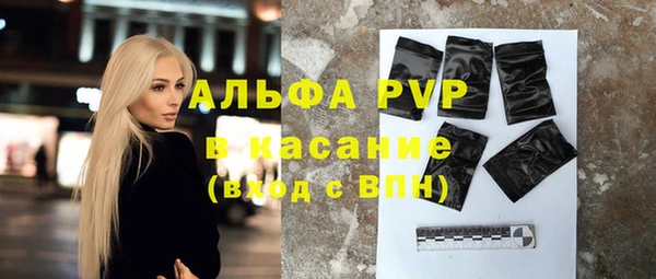 сатива Калининец