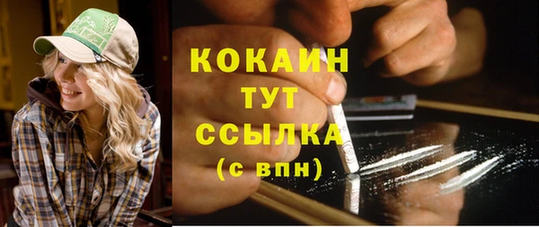 сатива Калининец