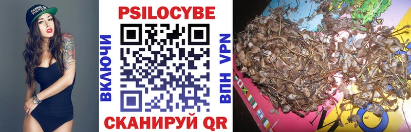 Галлюциногенные грибы Psilocybe  Купить закладки  Абдулино 